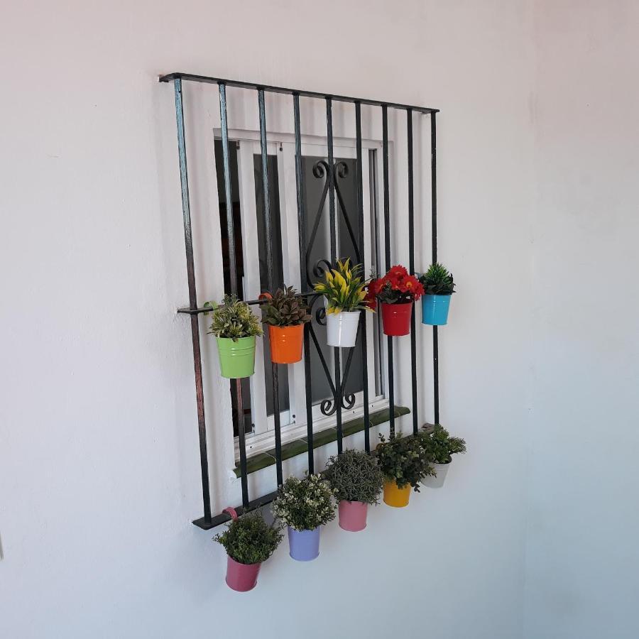 Atico Soleado Apartment Cadiz Exterior photo