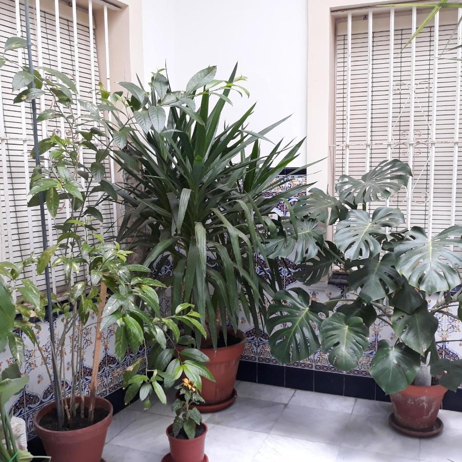 Atico Soleado Apartment Cadiz Exterior photo